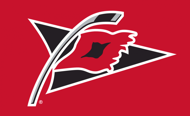 Carolina Hurricanes Secondary Logo (2000) - Tropical storm warning flag on a hockey stick on a red background, worn on the shoulders of the Carolina Hurricanes dark (road 2000-03, home 2004-) jersey