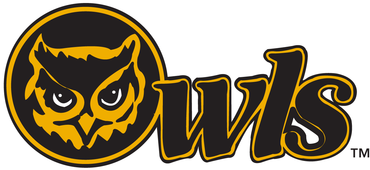 Kennesaw State Owls Primary Logo (1992-2011) -