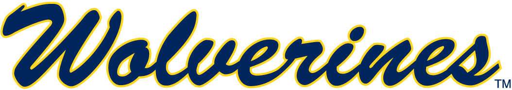 Michigan Wolverines Wordmark Logo (1996-Pres) -