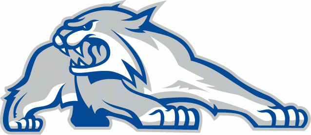 New Hampshire Wildcats Alternate Logo (2000) -