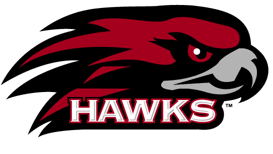 St. Joseph's Hawks Alternate Logo (2001) - Hawks head over script