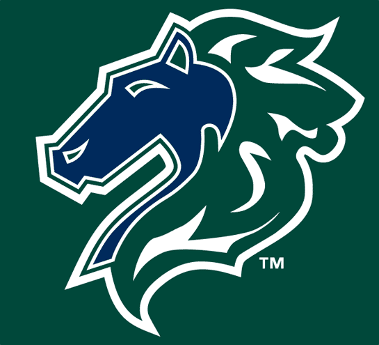 Charlotte Knights Cap Logo (1999-2013) - (Home) Blue and green horse head on green