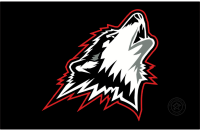 Rouyn-Noranda Huskies (2020 - Pres)