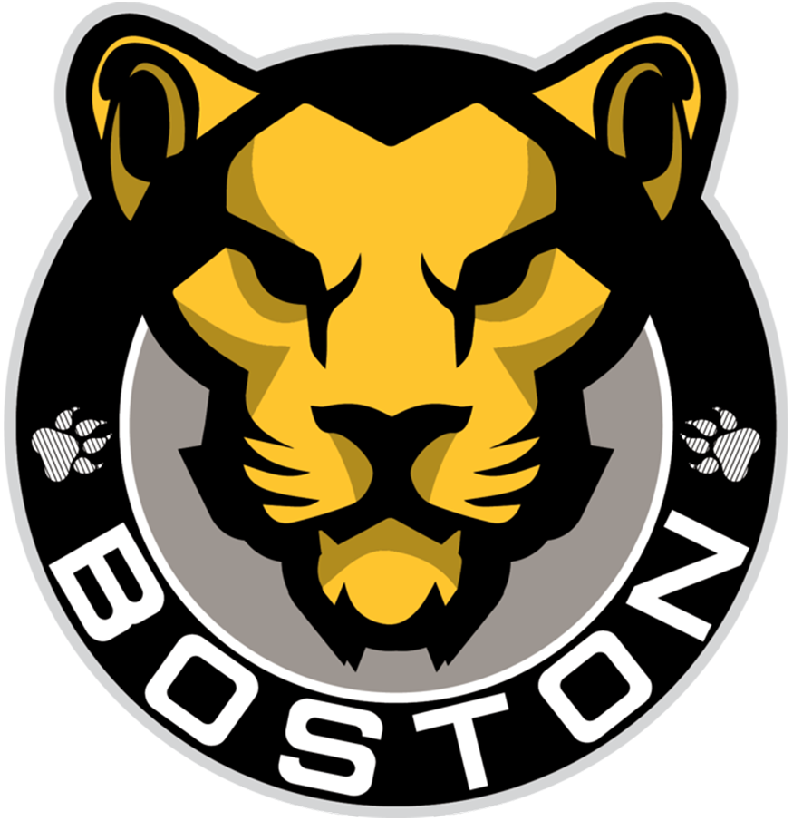 Boston Pride Logo Primary Logo (2017/18-Pres) - A lion head inside a black circle with BOSTON arched below SportsLogos.Net Boston Pride Logo Primary Logo (2017/18-Pres) - A lion head inside a black circle with BOSTON arched below SportsLogos.Net