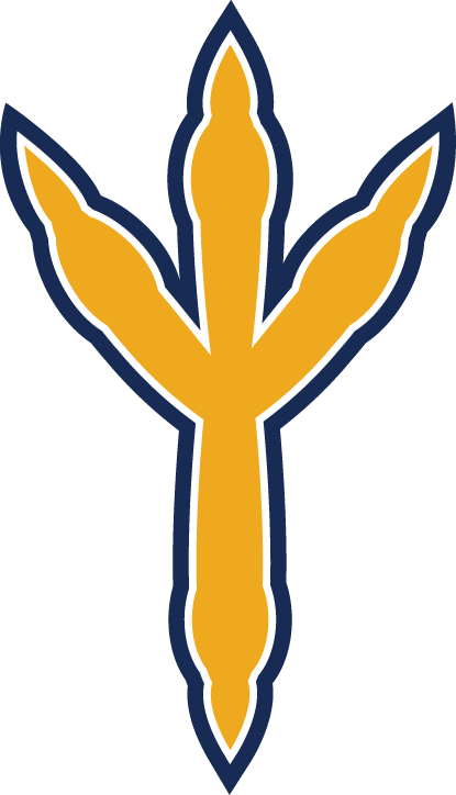 Chattanooga Mocs Alternate Logo (2013-Pres) - SportsLogos.Net