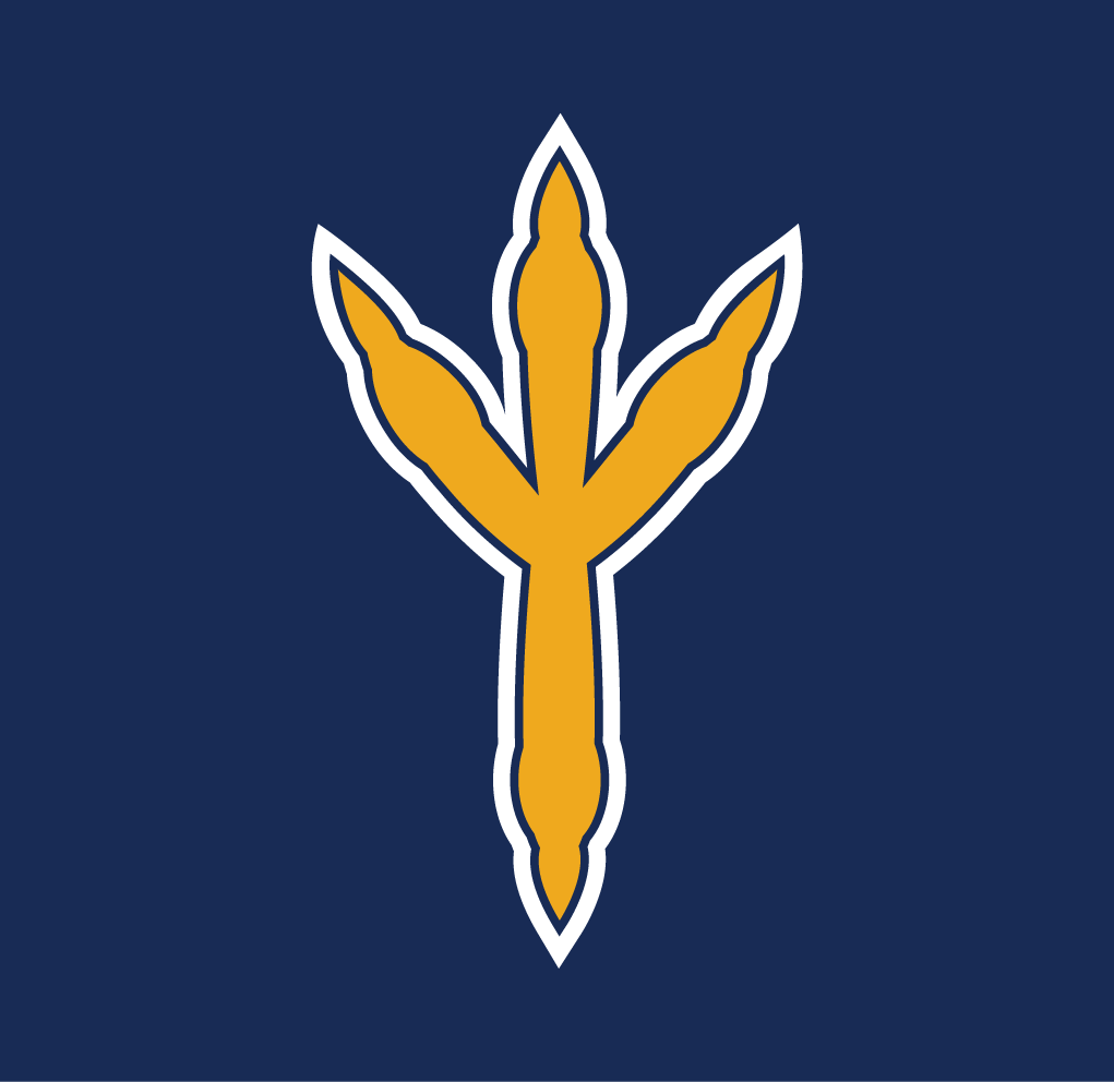Chattanooga Mocs Alt on Dark Logo (2013-Pres) - SportsLogos.Net
