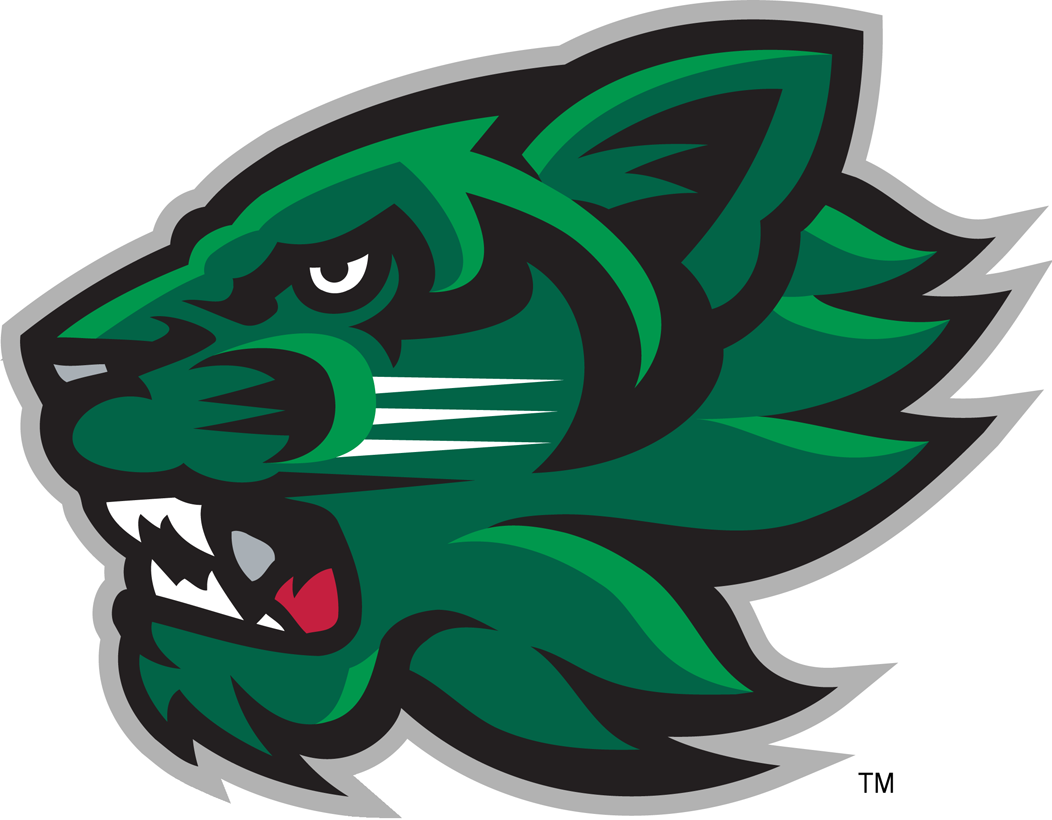 Binghamton Bearcats Logo Secondary Logo (2001-Pres) - SportsLogos.Net Binghamton Bearcats Logo Secondary Logo (2001-Pres) - SportsLogos.Net