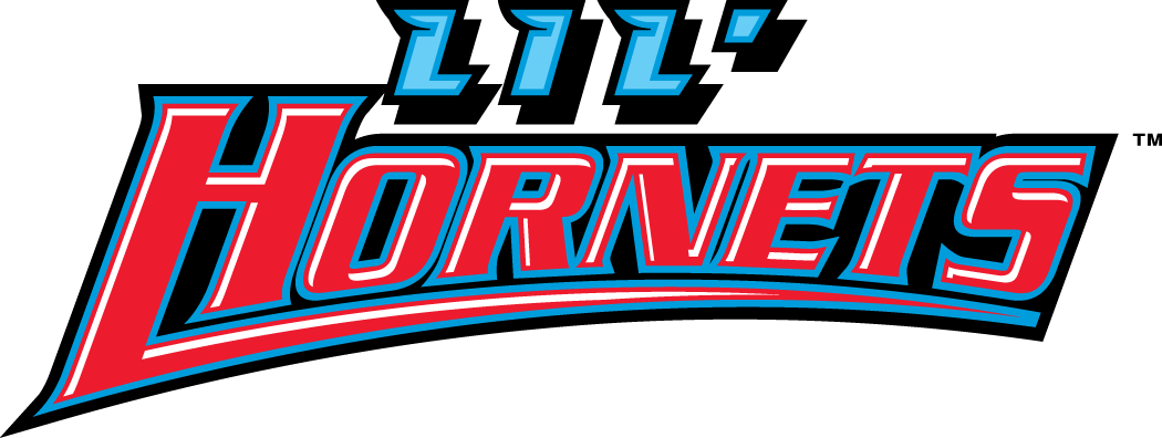 Delaware State Hornets Logo Misc Logo (2004-Pres) - Delaware State Hornets Youth Mark script SportsLogos.Net Delaware State Hornets Logo Misc Logo (2004-Pres) - Delaware State Hornets Youth Mark script SportsLogos.Net