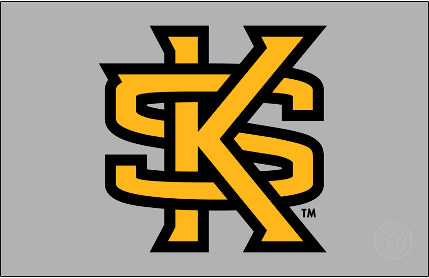 Kennesaw State Owls Logo Primary Dark Logo (2012-Pres) - The Kennesaw State Department of Athletics teamed with Rickabaugh Graphics and determined that the timing was perfect to initiate a new image that would match the rapid growth of the University and Department of Athletics while providing greater brand awareness. The new marks included a redesign of the owl, new typeface, new colors, and an interlocking KS. SportsLogos.Net Kennesaw State Owls Logo Primary Dark Logo (2012-Pres) - The Kennesaw State Department of Athletics teamed with Rickabaugh Graphics and determined that the timing was perfect to initiate a new image that would match the rapid growth of the University and Department of Athletics while providing greater brand awareness. The new marks included a redesign of the owl, new typeface, new colors, and an interlocking KS. SportsLogos.Net