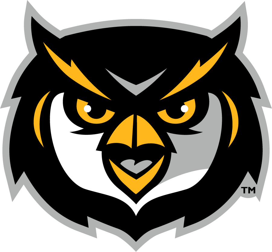 Kennesaw State Owls Logo Secondary Logo NCAA Division I i m NCAA 