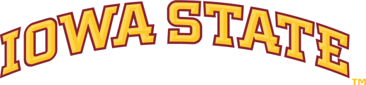 Iowa State Cyclones Logo Wordmark Logo (2008-Pres) - Arched Iowa State wordmark with bevels in two shades of gold with cardinal outline. Has a wider kerning than the 2007 version. SportsLogos.Net