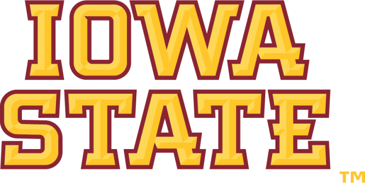 Iowa State Cyclones Logo Wordmark Logo (2008-Pres) - Straight stacked Iowa State wordmark with bevels in two shades of gold with cardinal outline. Has a wider kerning than the 2007 version. SportsLogos.Net