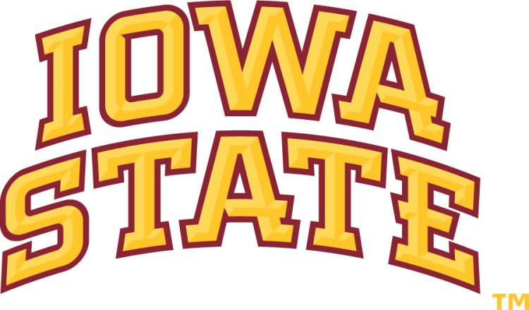 Iowa State Cyclones Logo Wordmark Logo (2008-Pres) - Arched stacked Iowa State wordmark with bevels in two shades of gold with cardinal outline. Has a wider kerning than the 2007 version. SportsLogos.Net