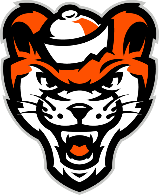 Sam Houston State Bearkats Logo Mascot Logo (2024-Pres) - Athletics-specific Sammy mascot head logo. This forward-facing version of the secondary Sammy head mark for athletics always wears a hat as a distinguishing feature. SportsLogos.Net