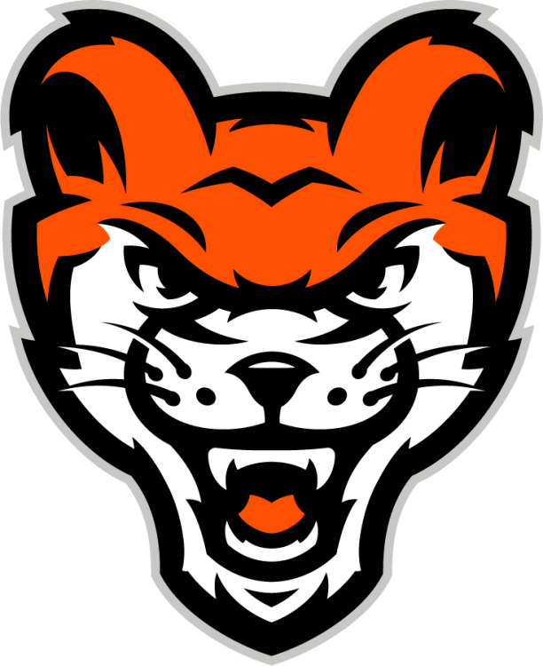 Sam Houston State Bearkats Logo Misc Logo (2024-Pres) - Academic-specific Sammy mascot head logo. This forward-facing version of the secondary Sammy head mark for academics always has the hat removed as a distinguishing feature. SportsLogos.Net
