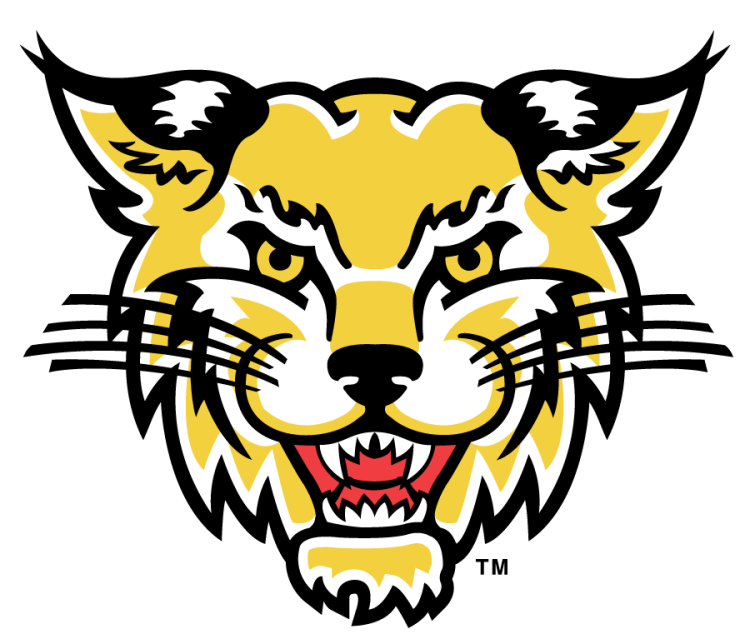 Western Carolina Catamounts Logo Secondary Logo (2003-2008) - Front-facing catamount head logo introduced in 2003. SportsLogos.Net