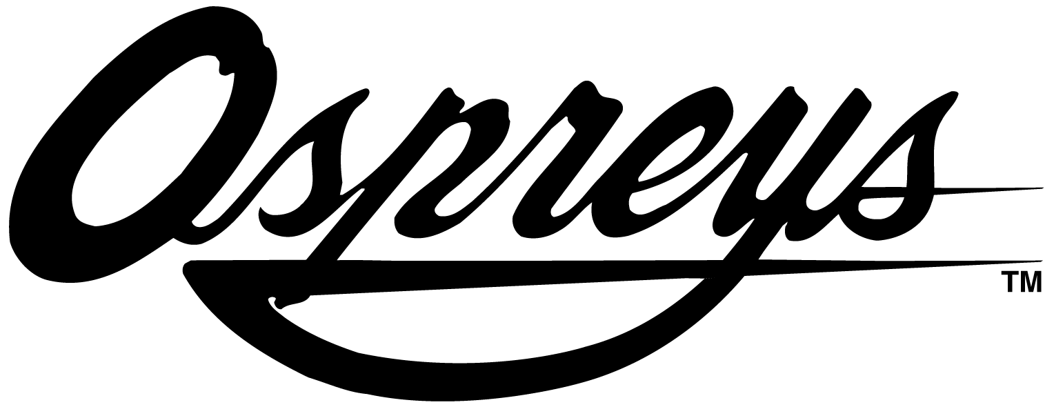 UNF Ospreys Wordmark Logo (1998) - SportsLogos.Net