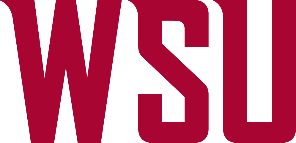 NCAA Washington State Cougars Logo Pin - Team Colors