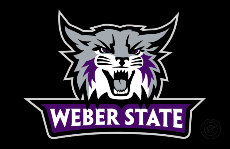 Weber State Wildcats Logo Primary Dark Logo (2023-Pres) - Primary logo of the updated Cathead logo above Weber State wordmark in purple, gray, black, and white with gray outline on black background. Weber State University unveiled updated versions of its existing athletics logos in July 2023 for the 2023-24 school year and beyond. The changes are the first in 11 years. The school implemented the current logos in 2012 that re-did the wildcat head and Weber State word marks that eliminated the previous cat-inside-a-shield logo. The differences are not drastic as the primary logo retains the same overall shape. In general, the new cat head logo uses more purple and black, and the word marks use a bolder typeface and thicker outline colors, including a thick black outline around the main Weber State word mark that appears underneath the cat head in the full, primary logo. The cat head has undergone several small but noticeable changes. Those include: more purple on the cat`s cheeks, most of the white accents around the cat`s edges have been removed, changed eyes with more defined black outlines, a smaller mouth, and a little extra gray to define the top of the cat`s nose. SportsLogos.Net