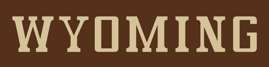 Wyoming Cowboys Logo Wordmark Logo (2006-2012) - SportsLogos.Net Wyoming Cowboys Logo Wordmark Logo (2006-2012) - SportsLogos.Net