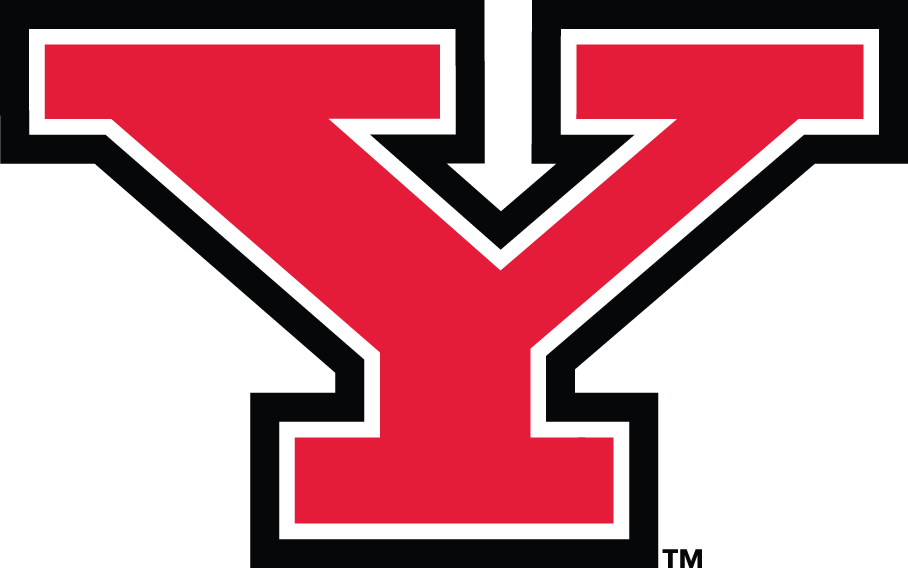 Youngstown State Penguins Logo Primary Logo (2006-Pres) - SportsLogos.Net Youngstown State Penguins Logo Primary Logo (2006-Pres) - SportsLogos.Net