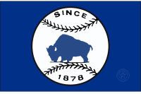 Buffalo Bisons (1950 - 1970)