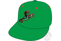 Norfolk Tides (2016 - Pres)