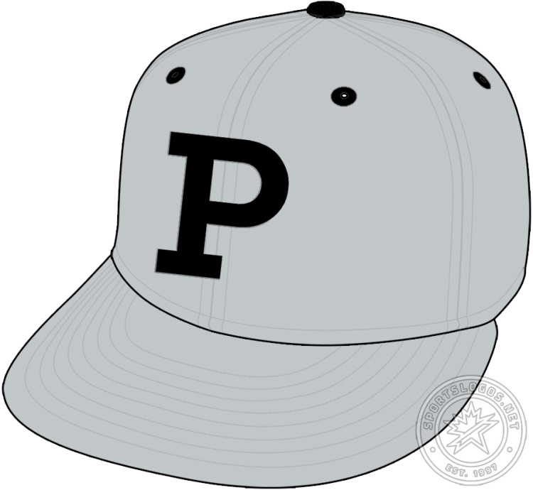 Portland Sea Dogs Cap Cap (2025-Pres) - The Portland Sea Dogs alternate cap is a serifed black 