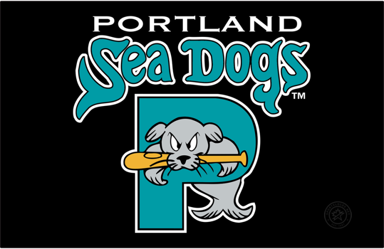 Portland Sea Dogs Logo Primary Dark Logo (1994-2002) - The Portland Sea Dogs logo features a grey seal named 