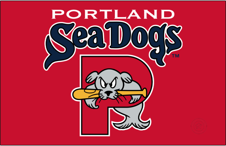 Portland Sea Dogs Logo Primary Dark Logo (2022-Pres) - The Portland Sea Dogs logo features a grey seal named 