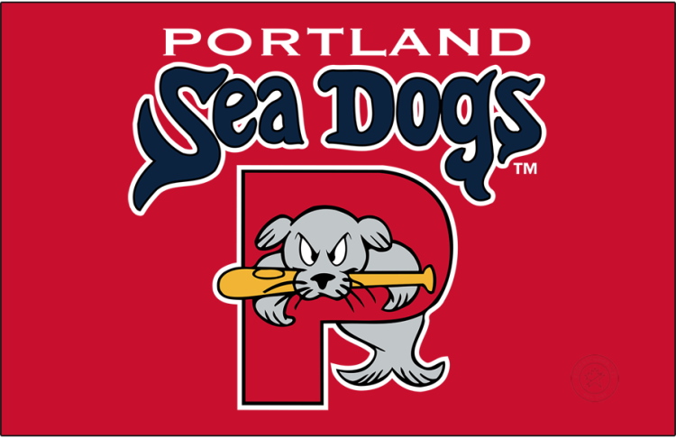Portland Sea Dogs Logo Primary Dark Logo (2003-2021) - The Portland Sea Dogs logo features a grey seal named 