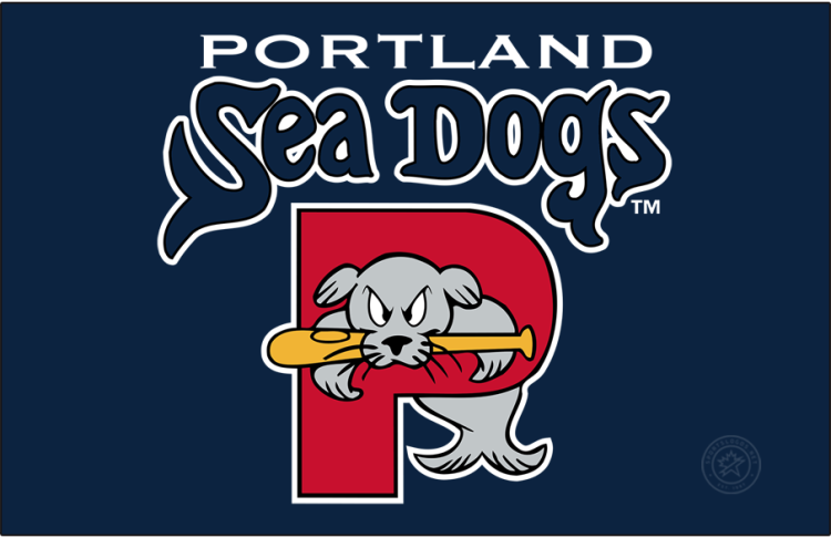 Portland Sea Dogs Logo Primary Dark Logo (2003-2021) - The Portland Sea Dogs logo features a grey seal named 
