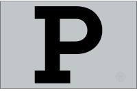 Portland Sea Dogs (2025 - Pres)