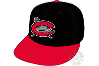 Carolina Mudcats (2012 - 2025)