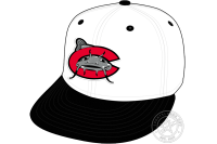 Carolina Mudcats (2012 - 2025)