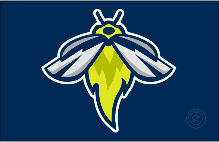 Columbia Fireflies Logo Cap Logo (2021-Pres) - The Columbia Fireflies home and road cap logo features a neon green firefly with silver wings worn on the front of a navy blue crown. SportsLogos.Net