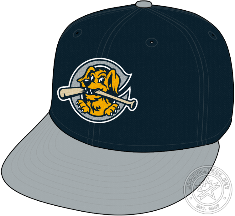 Charleston RiverDogs Cap Cap (2021-Pres) - The Charleston RiverDogs road cap features a yellow and blue dog biting a baseball bat on a white 