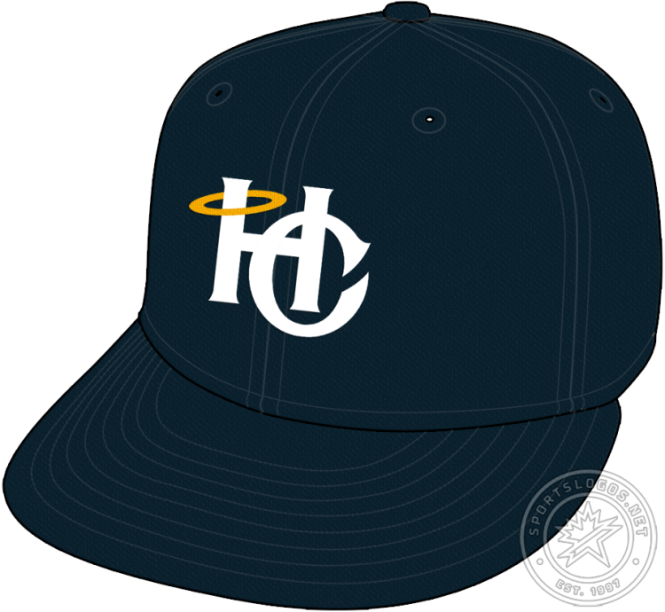 Charleston RiverDogs Cap Cap (2021-Pres) - The Charleston RiverDogs alternate 