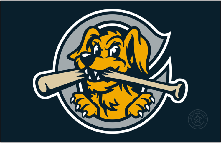 Charleston RiverDogs Logo Cap Logo (2021-Pres) - The Charleston RiverDogs road cap logo features a yellow and blue dog biting a baseball bat on a grey 
