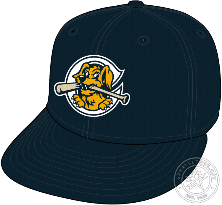 Charleston RiverDogs Cap Cap (2021-Pres) - The Charleston RiverDogs home cap features a yellow and blue dog biting a baseball bat on a white 