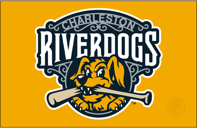 Charleston RiverDogs Logo Primary Dark Logo (2021-Pres) - The Charleston RiverDogs logo features a yellow and blue dog biting a baseball bat in half below the team name in silver and white. SportsLogos.Net