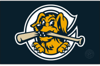 Charleston RiverDogs (2021 - Pres)