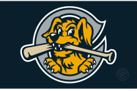 Charleston RiverDogs (2021 - Pres)