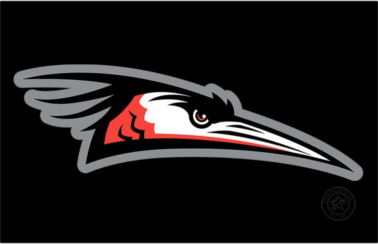 Delmarva Shorebirds Logo Cap Logo (2021-Pres) - The Delmarva Shorebirds home cap logo features the head of a blue heron recoloured in orange, black, and white with a silver outline. The recolouring was done to better match the club's MLB affiliation with the Baltimore Orioles. This logo appears twice to account for the club's shift from the South Atlantic League to the Carolina League in 2021. SportsLogos.Net