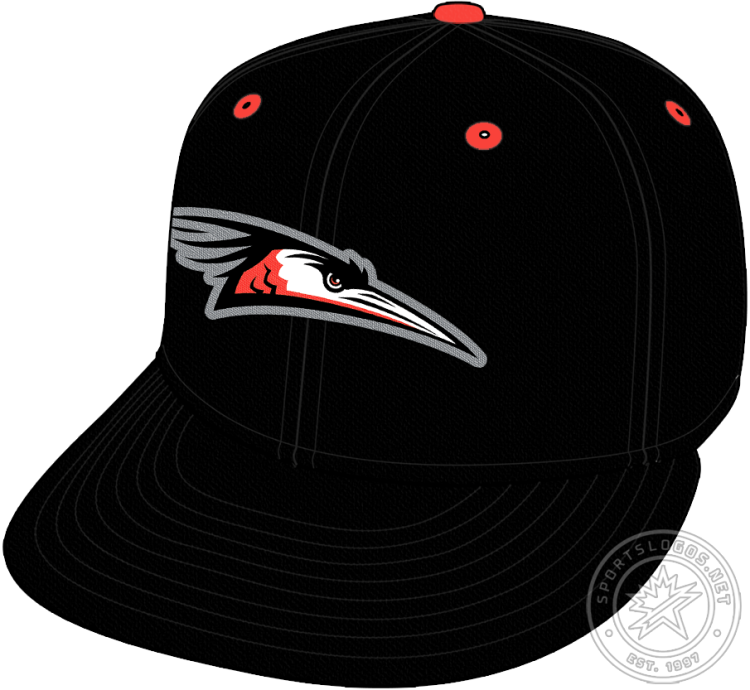 Delmarva Shorebirds Cap Cap (2021-Pres) - The Delmarva Shorebirds home cap features the head of a blue heron recoloured in orange, black, and white with a silver outline on an all-black cap. SportsLogos.Net