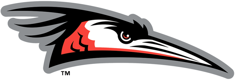 Delmarva Shorebirds Logo Primary Logo (2021-Pres) - The Delmarva Shorebirds logo features the head of a blue heron recoloured in orange, black, and white with a silver outline. The recolouring was done to better match the club's MLB affiliation with the Baltimore Orioles. This logo appears twice to account for the club's shift from the South Atlantic League to the Carolina League in 2021. SportsLogos.Net