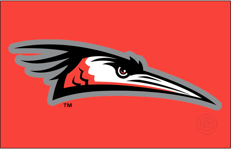 Delmarva Shorebirds Logo Primary Dark Logo (2021-Pres) - The Delmarva Shorebirds logo features the head of a blue heron recoloured in orange, black, and white with a silver outline. The recolouring was done to better match the club's MLB affiliation with the Baltimore Orioles. This logo appears twice to account for the club's shift from the South Atlantic League to the Carolina League in 2021. SportsLogos.Net