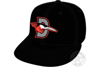 Delmarva Shorebirds (2021 - Pres)
