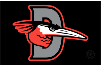 Delmarva Shorebirds (2021 - Pres)