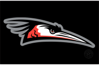 Delmarva Shorebirds (2021 - Pres)